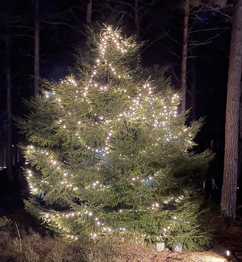 Profesionālas 500 LED Ziemassvētku gaismas silti baltas, mirgo auksti balti 35.5 m