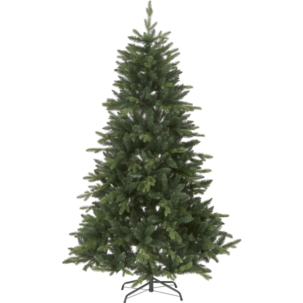 Ziemassvētku egle 180cm