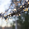 300 LED gaismas bumbiņas silti baltas 6 m