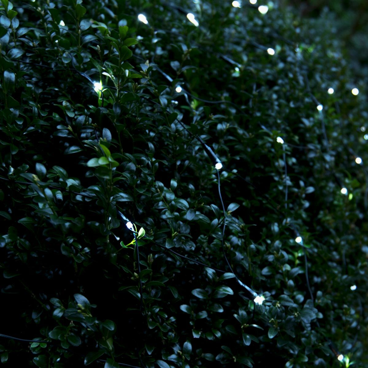 PRO LED tīkla virtene 3x2m