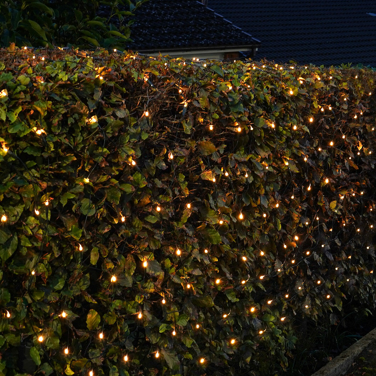 PRO LED tīkla virtene 3x2m