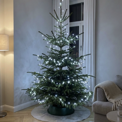 100 LED Ziemassvētku gaismas auksti baltas 8M