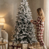 Apsnigusi Ziemassvētku egle „Kalnu egle Lux” 220 cm