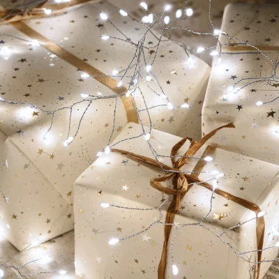 LED cluster Ziemassvētku gaismas uz sudraba stieples