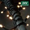 LED virtene PRO 24V 10 m