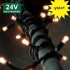 Mirgojoša LED virtene PRO 24V 10 m