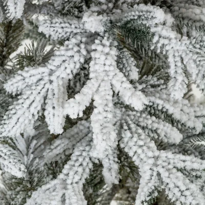 Apsnigusi Ziemassvētku egle „Kalnu egle Lux” 220 cm