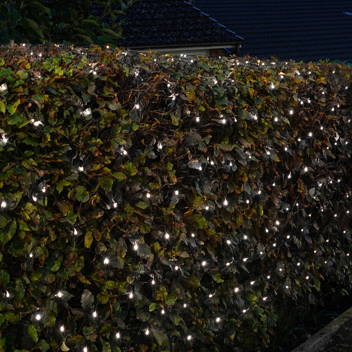 PRO LED tīkla virtene 3x2m