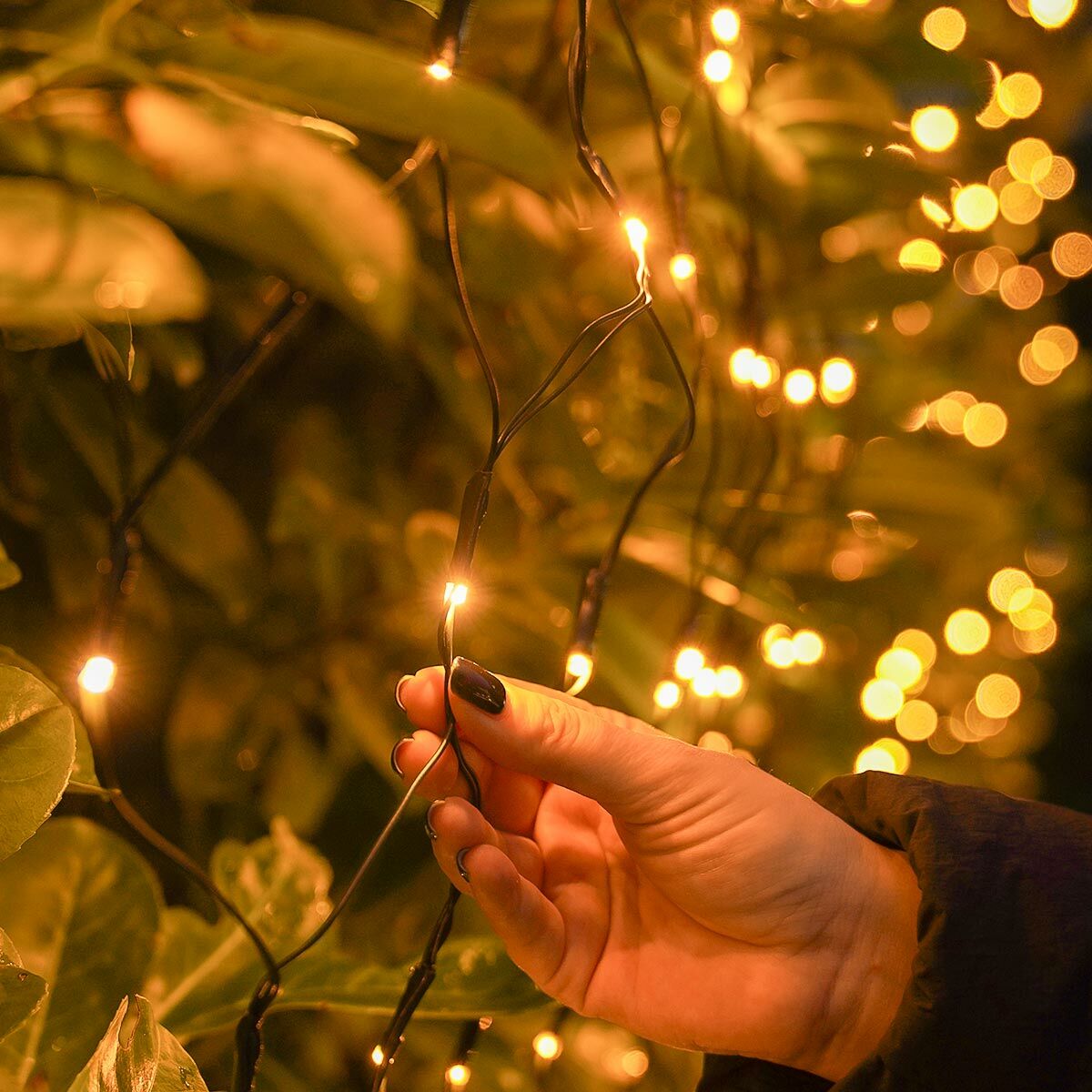 PRO LED tīkla virtene 3x2m