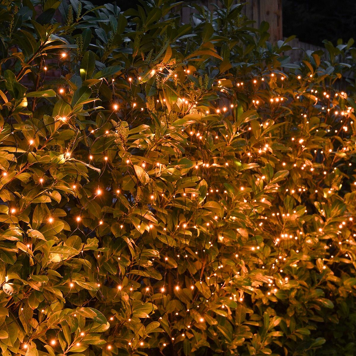 PRO LED tīkla virtene 3x2m